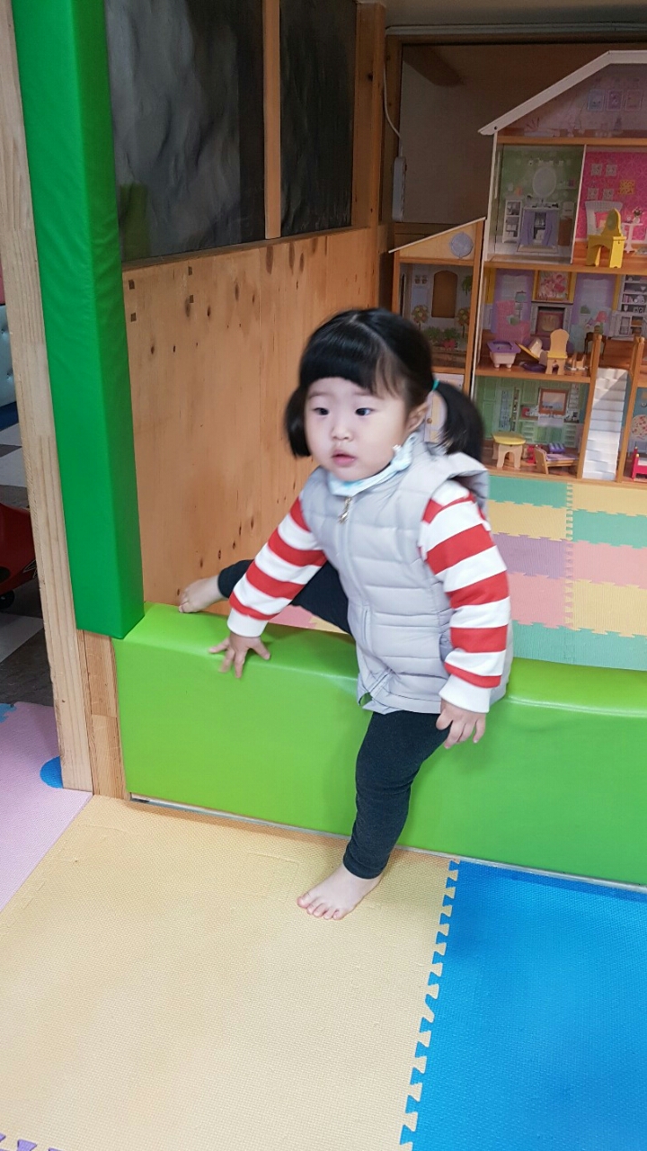 키크는 나무 이미지