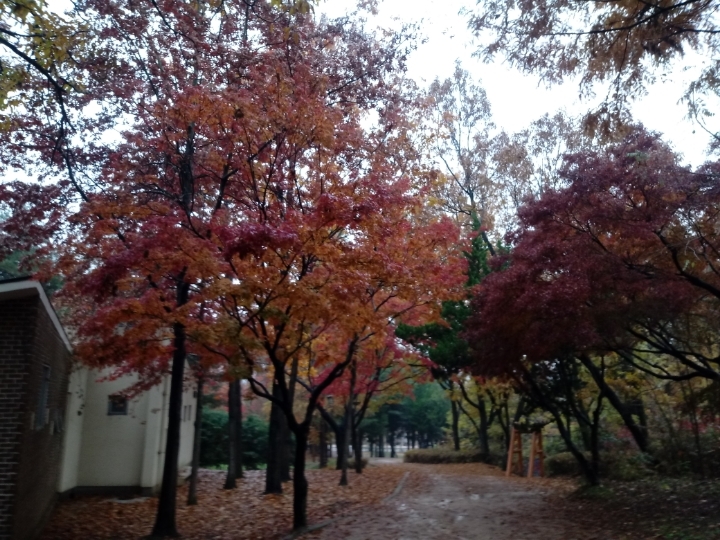 더블클릭을 하시면 이미지를 수정할 수 있습니다