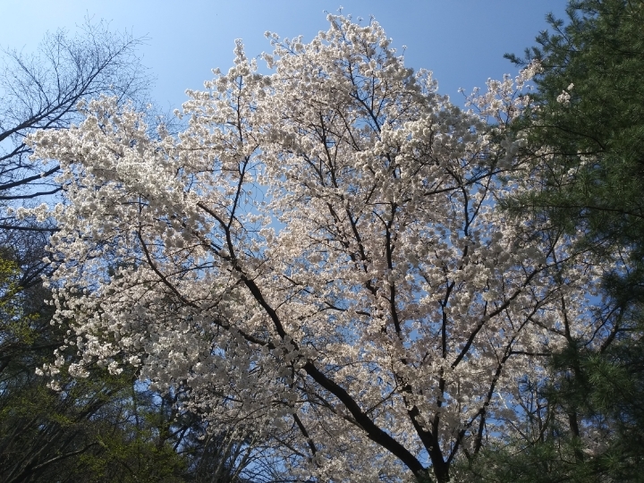 더블클릭을 하시면 이미지를 수정할 수 있습니다