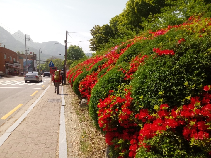 더블클릭을 하시면 이미지를 수정할 수 있습니다