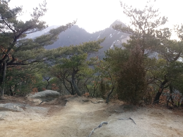 더블클릭을 하시면 이미지를 수정할 수 있습니다