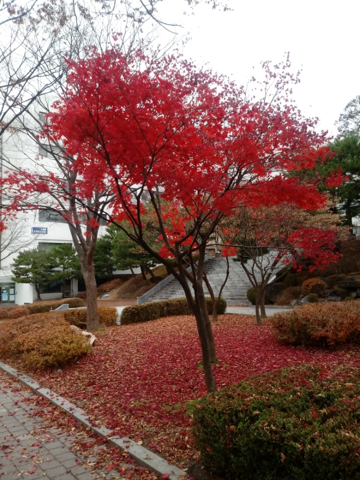 더블클릭을 하시면 이미지를 수정할 수 있습니다