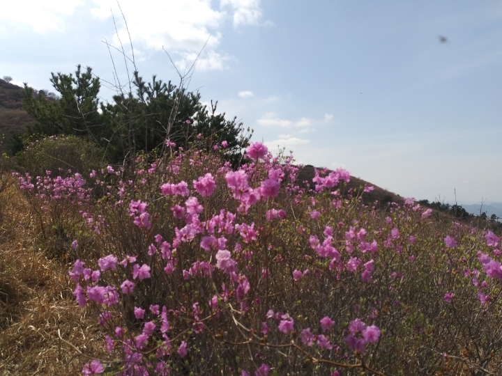 더블클릭을 하시면 이미지를 수정할 수 있습니다