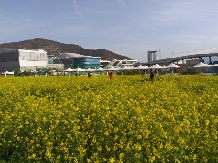 더블클릭을 하시면 이미지를 수정할 수 있습니다