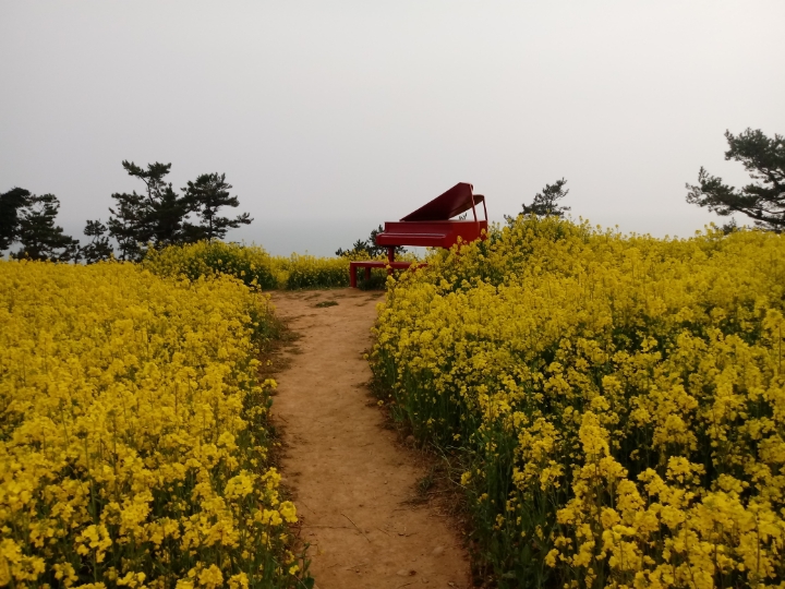 더블클릭을 하시면 이미지를 수정할 수 있습니다