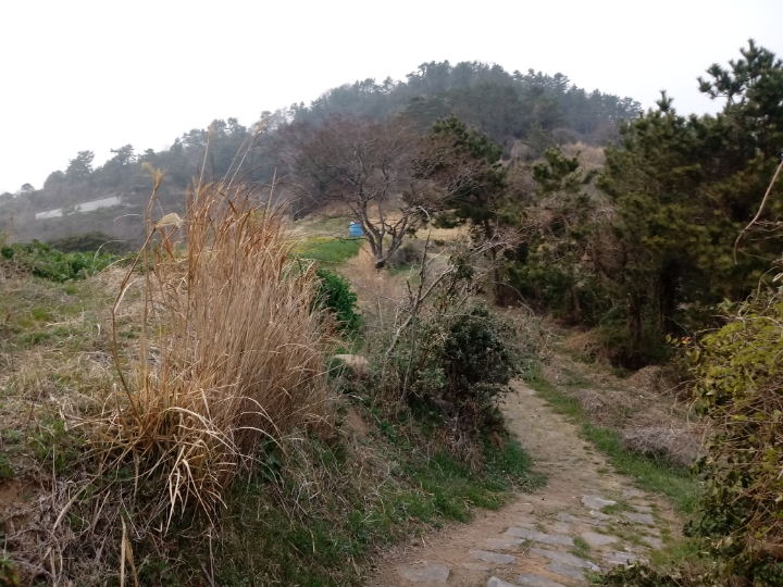 더블클릭을 하시면 이미지를 수정할 수 있습니다