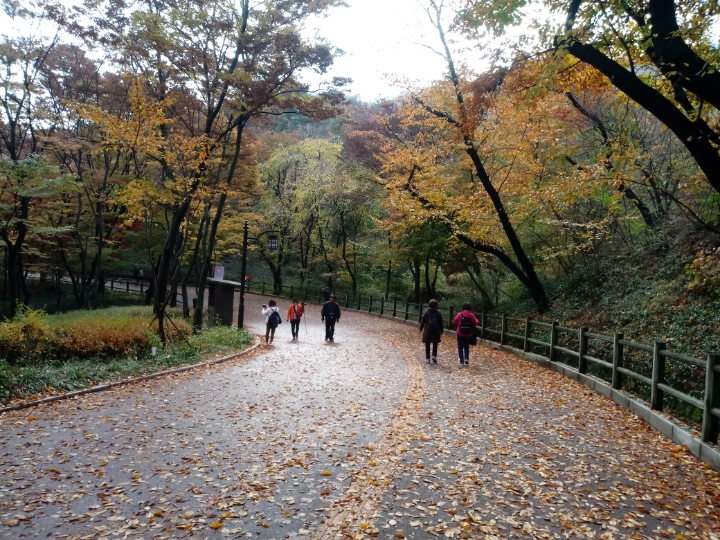 더블클릭을 하시면 이미지를 수정할 수 있습니다