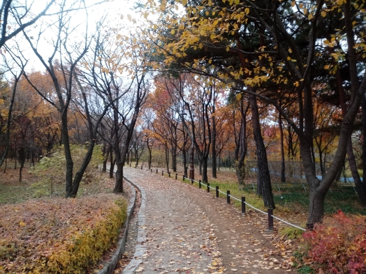 더블클릭을 하시면 이미지를 수정할 수 있습니다