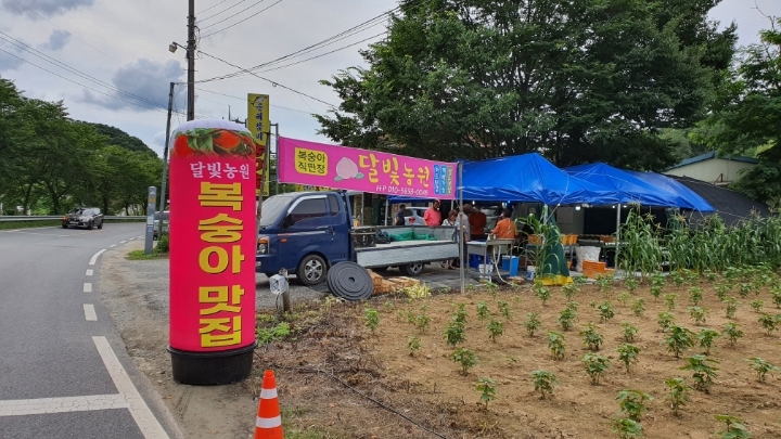 달빛농원 이미지