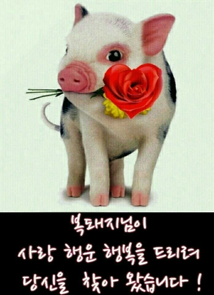 수다쟁이 이미지