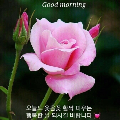 만나세 이미지