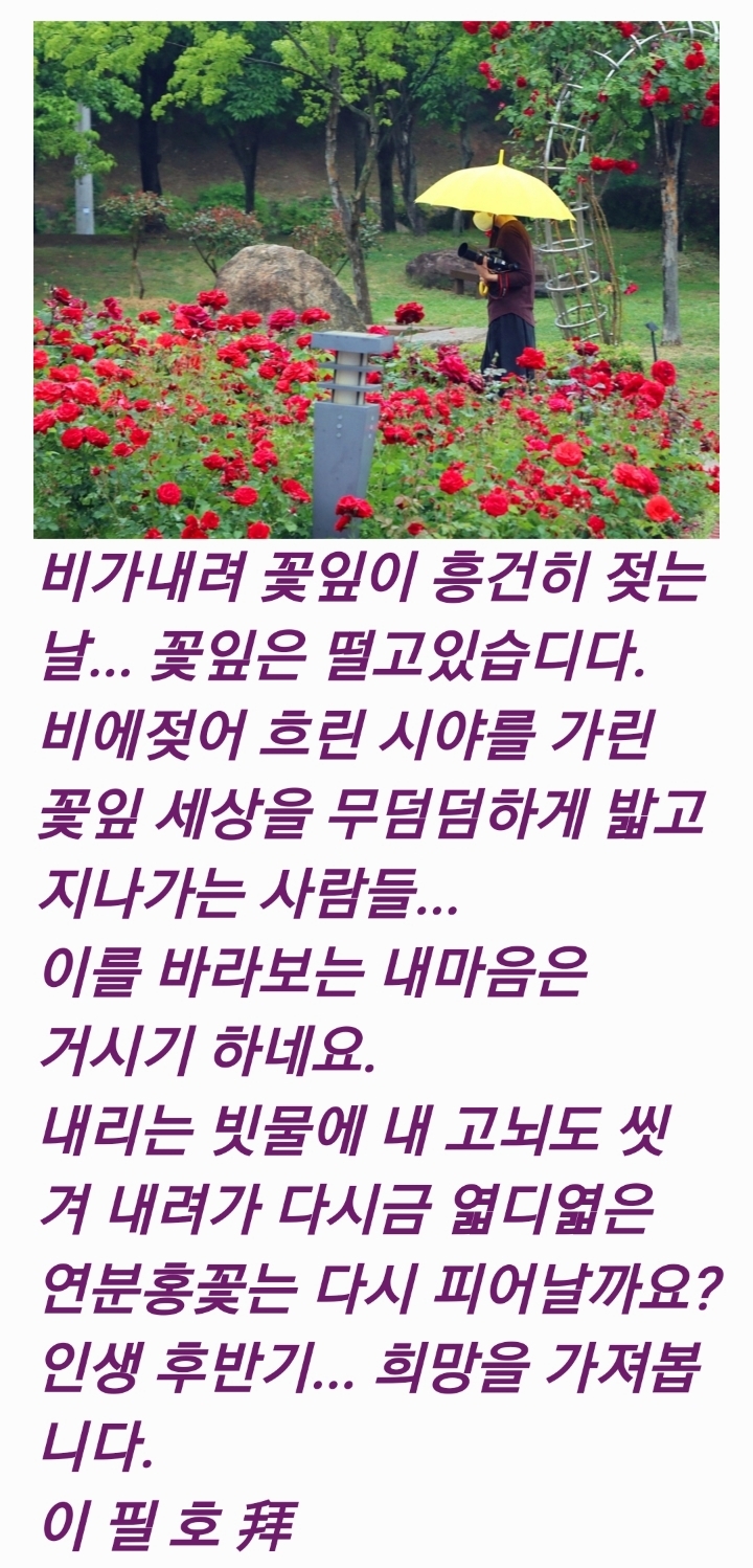 소고배 이미지