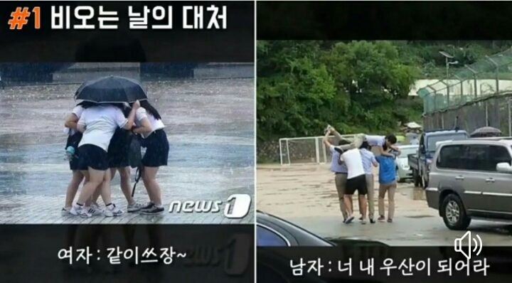 다심 이미지