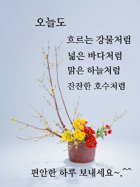 유*삼 이미지