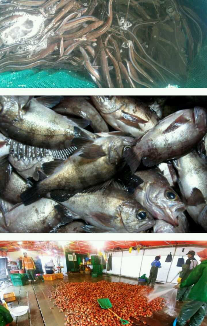 두리수산 이미지