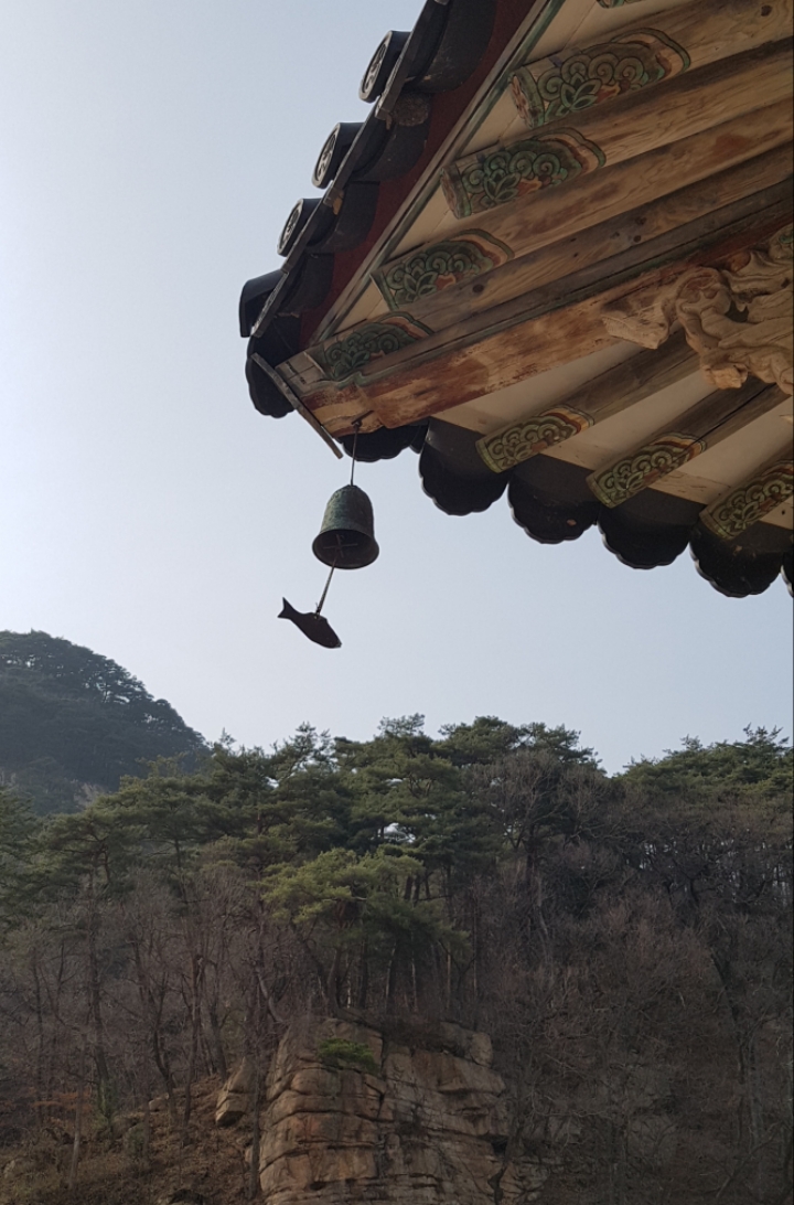 풍경소리 이미지