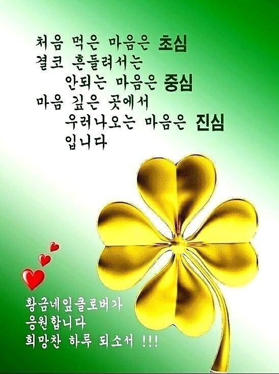 초심 이미지