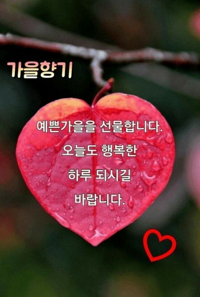 오리와친구들 이미지