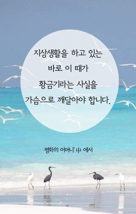 평화 이미지