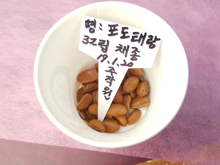 열매양품 이미지