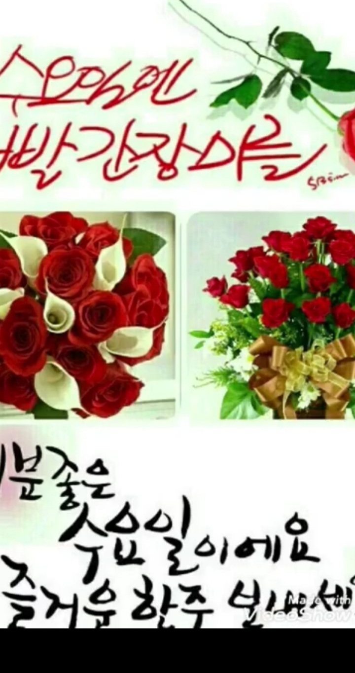 행복한 하루 이미지