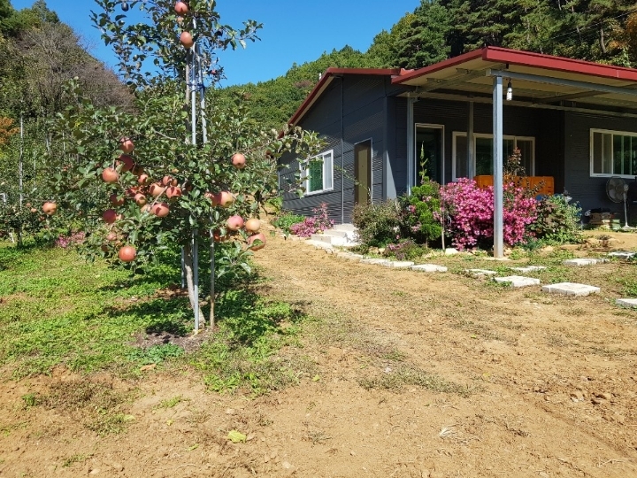 사일산 이미지