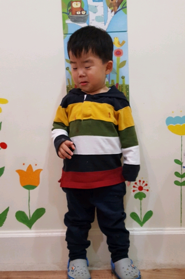 바움B 이미지