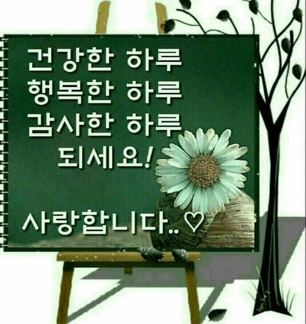 성현건강 이미지