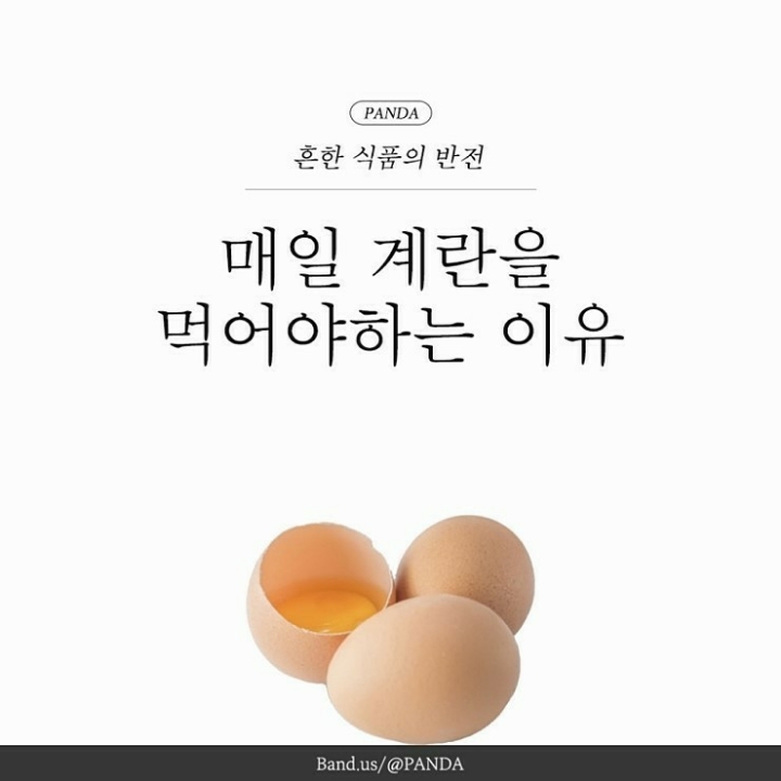 매일계란 이미지