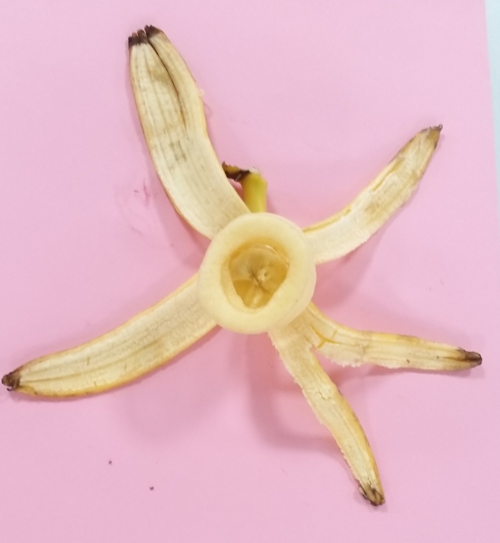 새샘푸드 이미지