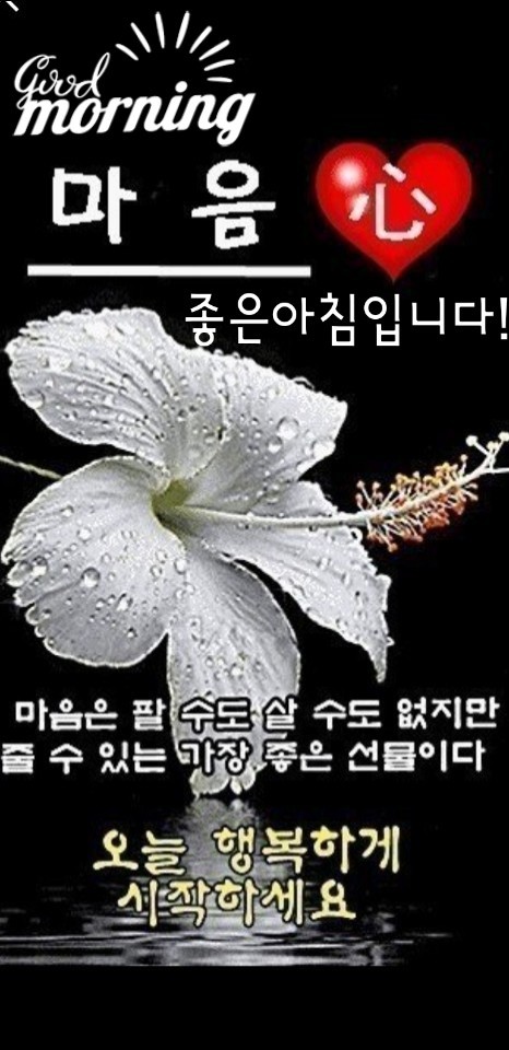 팔월 이미지