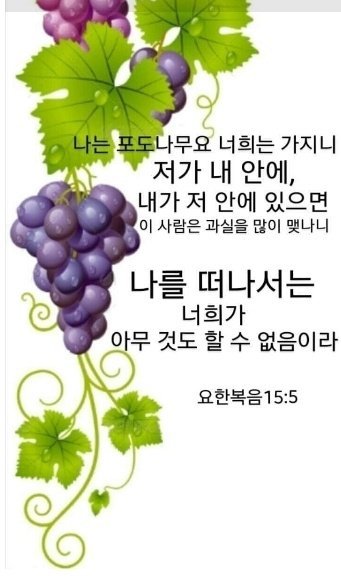 임마누엘 이미지