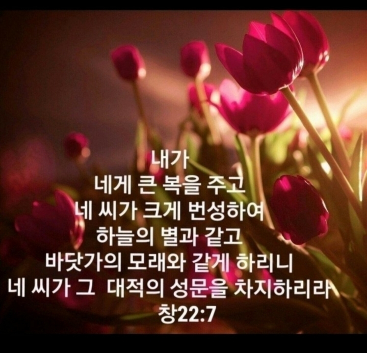 야베스 이미지