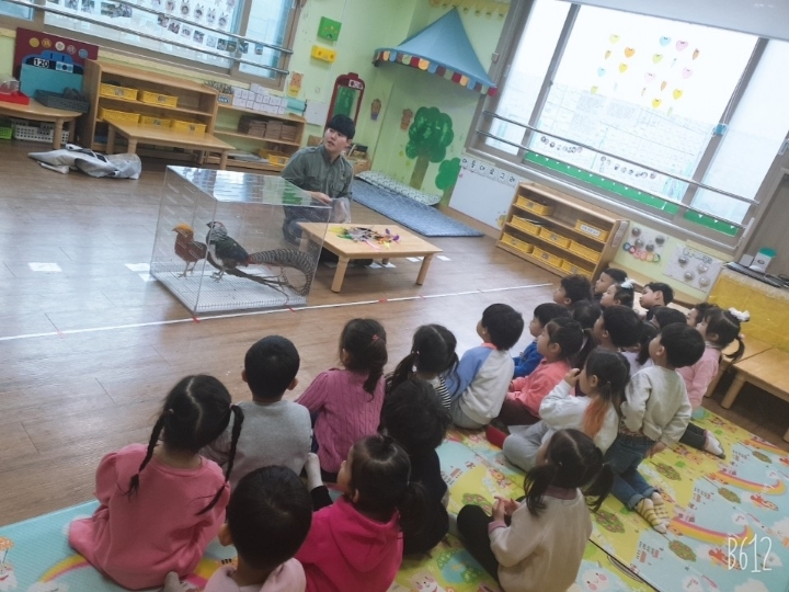 꼬꼬닭/안녕닭 이미지