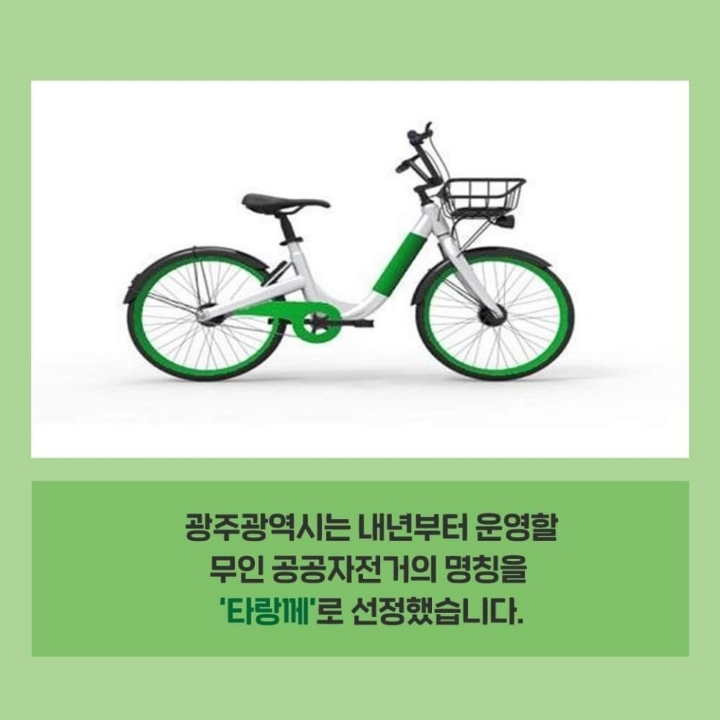 타랑 이미지