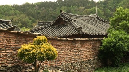 돌담 이미지