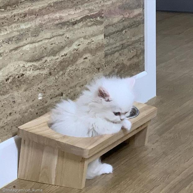 엄마미용실 이미지