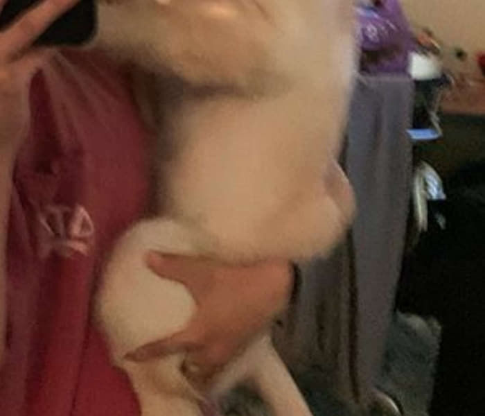 넌 이미지