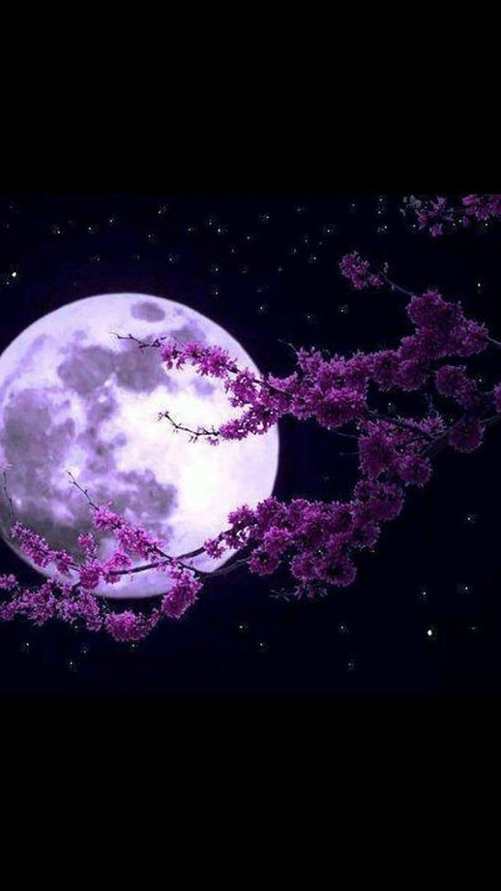 보름달 이미지