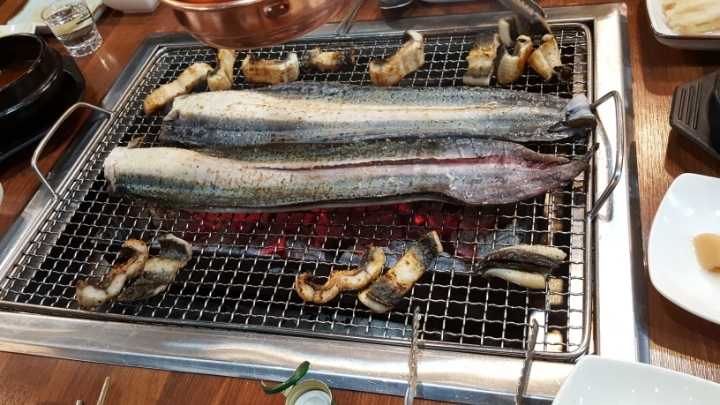 장어세상 이미지