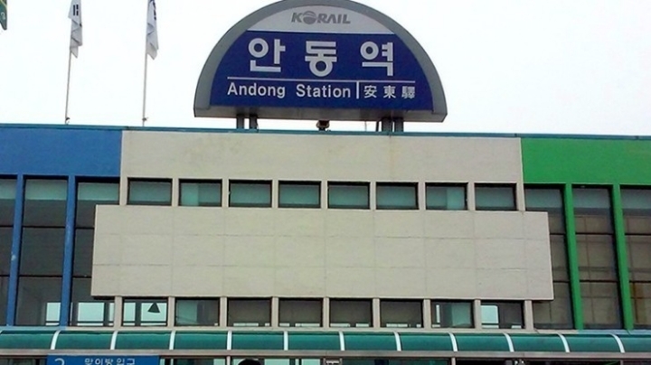 연리지 이미지