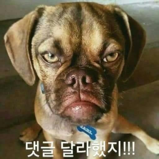 없음 이미지