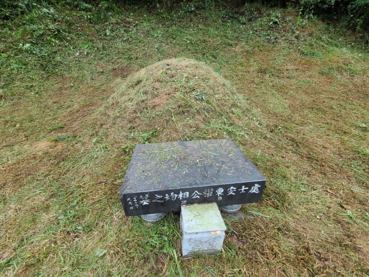 태양농원 이미지