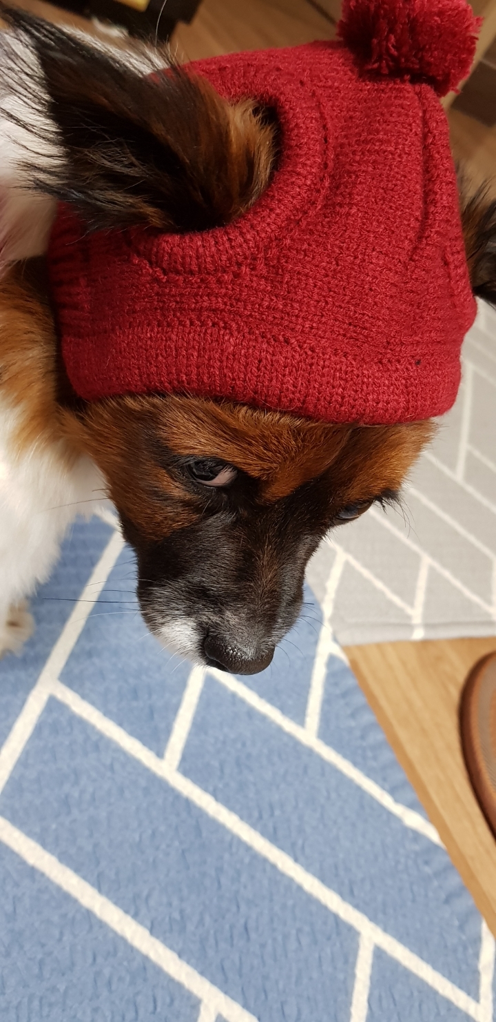빨간모자 이미지