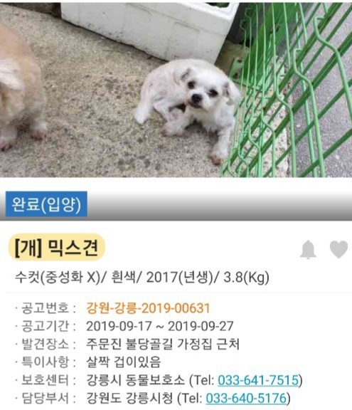 도도 이미지