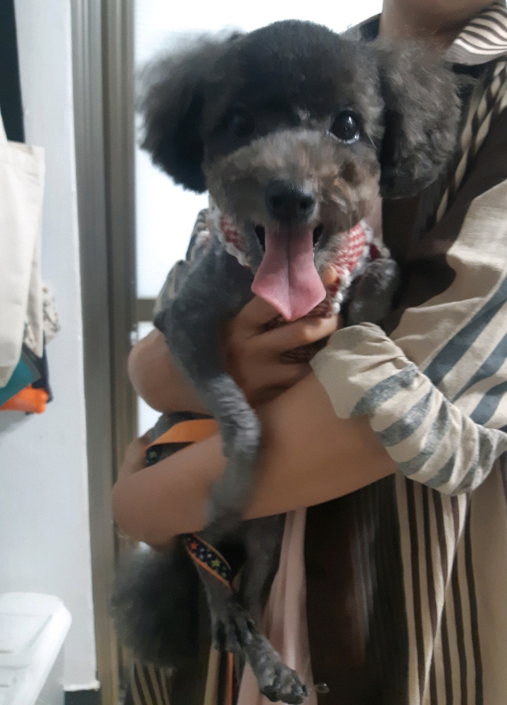 까미 이미지