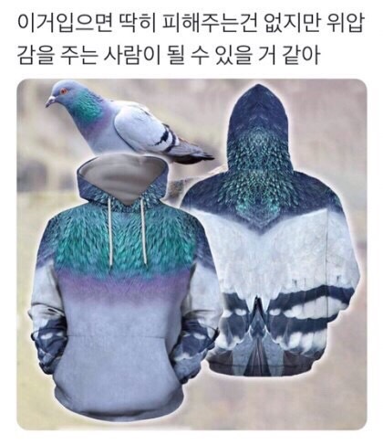 예감 이미지
