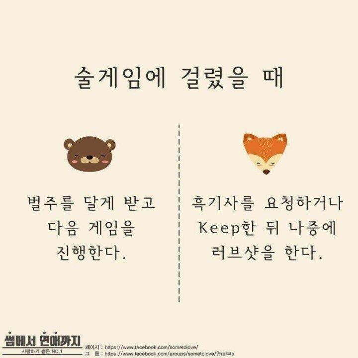 곰과여우 이미지