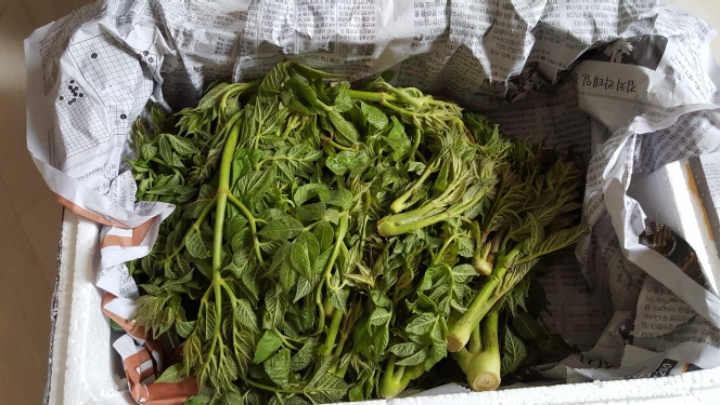 산중농원 이미지