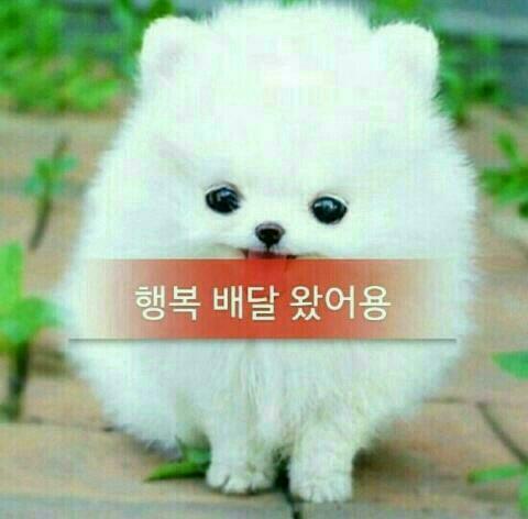 띵동 이미지